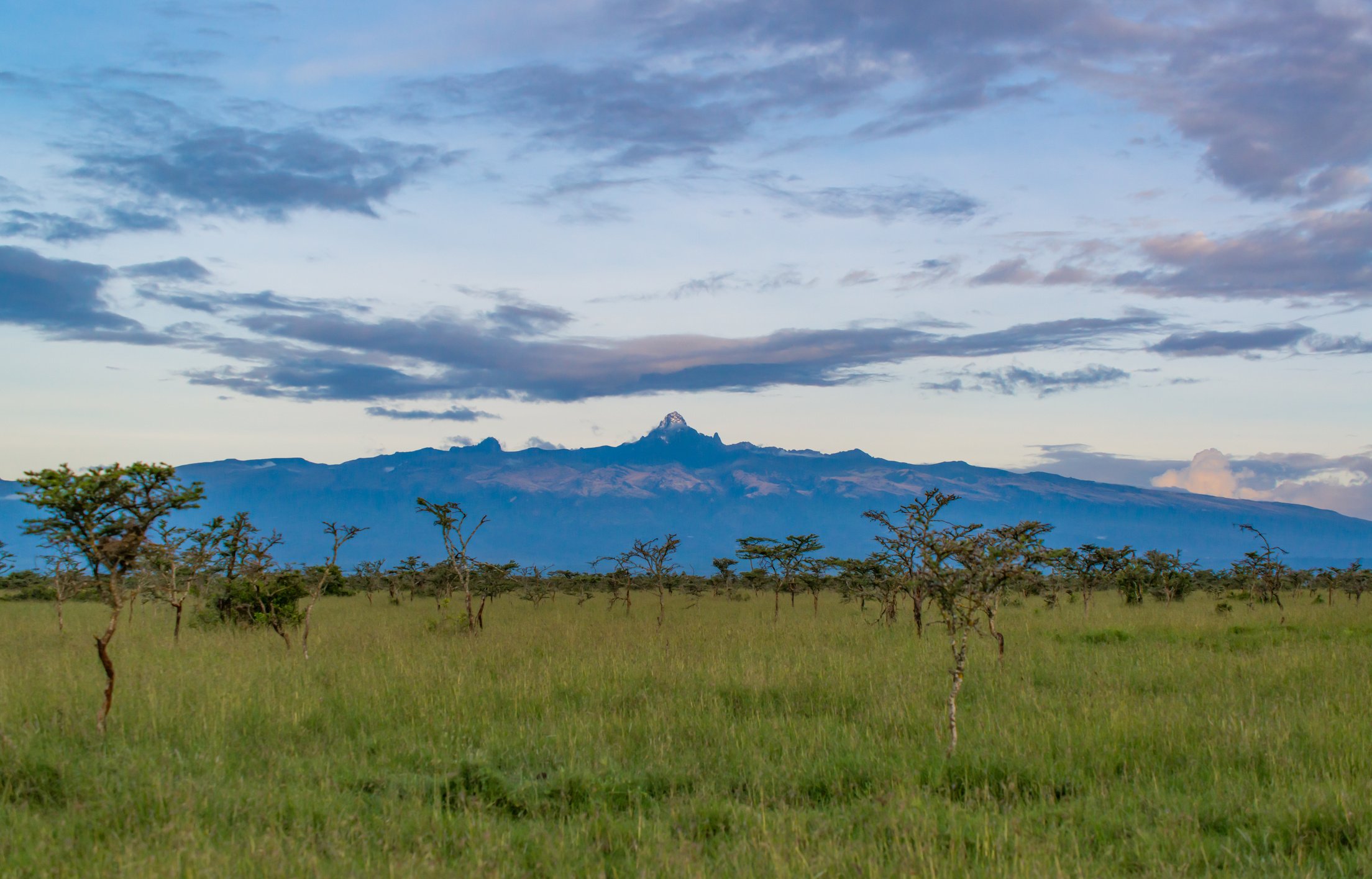 Mt. Kenya